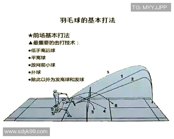 羽毛球深度解析深圳羽毛球队如何实现中路突破的战术与训练秘诀