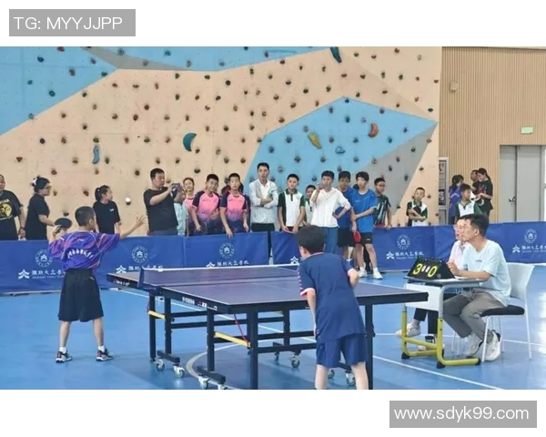 乒乓球的魅力：深入了解西安乒乓球队的团队协作与训练秘诀